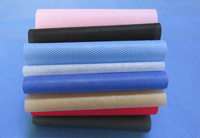 永修涤纶（PET）无纺布是什么